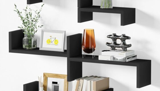 SRIWATANA Floating Shelves for Wall
